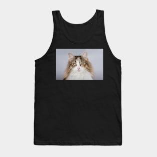 Long Hair tortoiseshell cat Tank Top